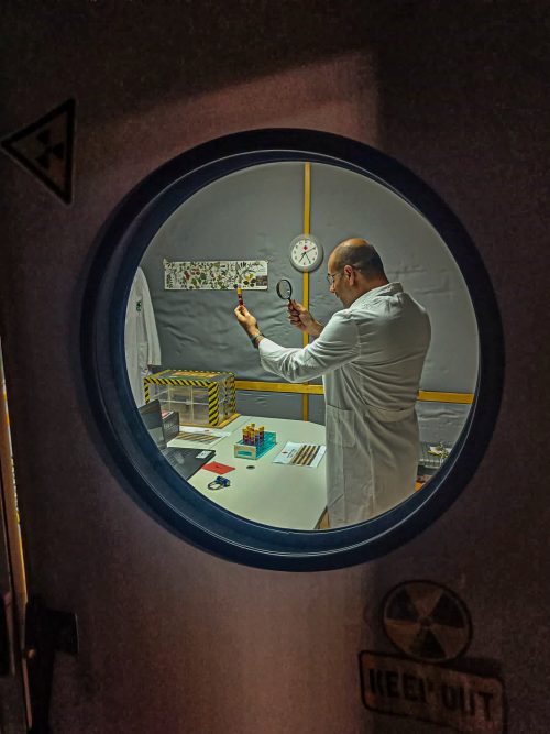 Escape Room Expedición Green World - 2 Edición